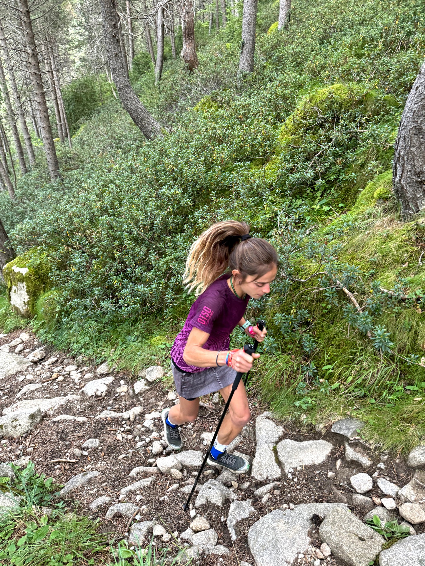 Bastones de carbono plegables ultraligeros para Trail Running y Trecking - Negro